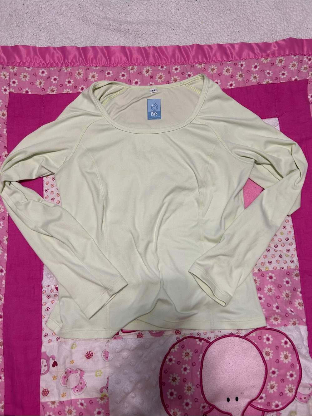 Isis Long Sleeve Scoop Neck Top in light green